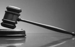 Pruebas de paternidad 2 legal 430